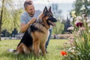 Jakoba German Shepherds